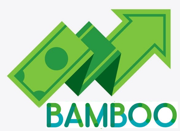 Bamboo Credit (H5 Bamboo Credit) – Vay online nhanh chóng, hạn mức hấp dẫn
